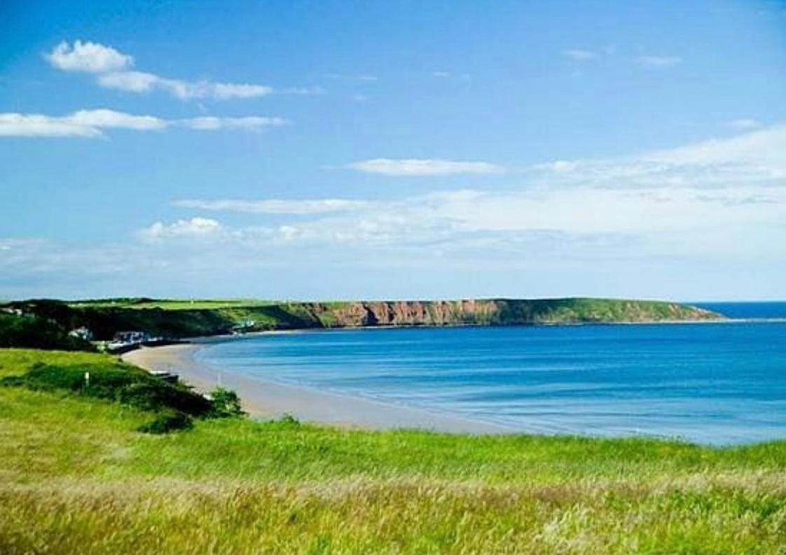 The Bay, Filey, Moonshine Cottage Exterior foto